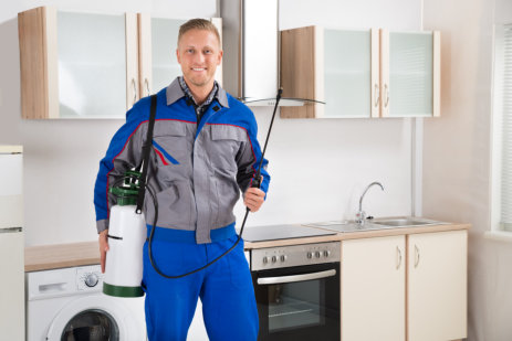 Pest Control Worker With Insecticide Sprayer